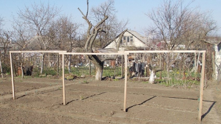 Грядка для огірків Грядка для огірків