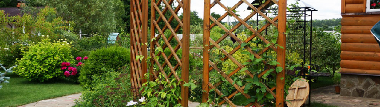Використання шпалер в ландшафтному дизайні