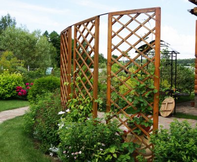 Використання шпалер в ландшафтному дизайні