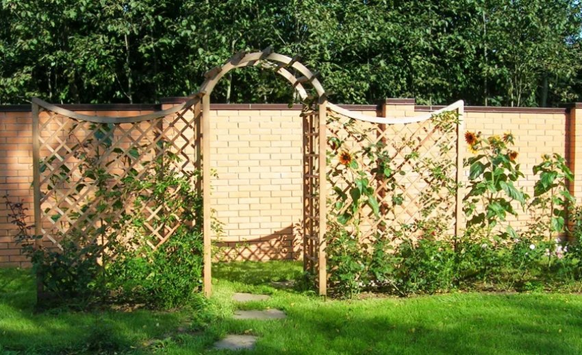 Шпалери в ландшафтному дизайні Шпалери в ландшафтному дизайні