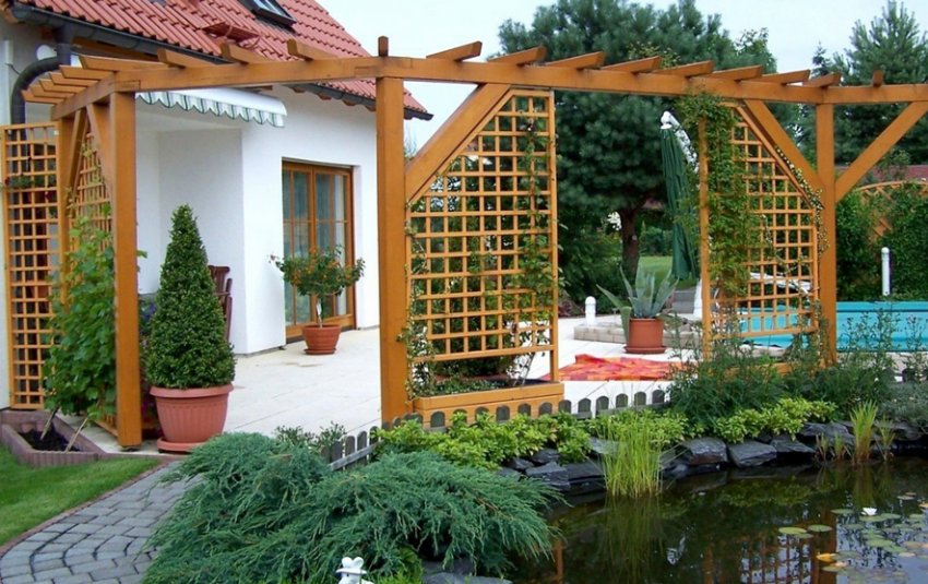 Шпалера в ландшафтному дизайні Шпалера в ландшафтному дизайні