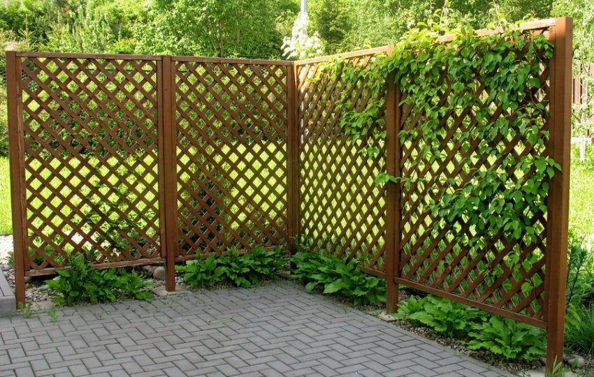 Дерев'яна конструкція Дерев'яна конструкція