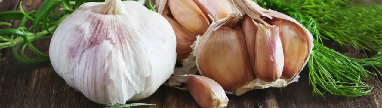 Виробник часнику з України постраждав від пожежі, але не втрачає оптимізму