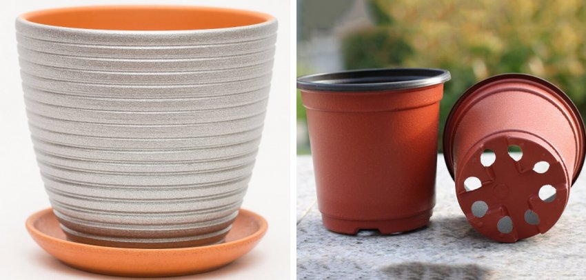 Ємності для посадки гортензії