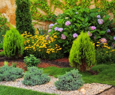 Застосування хвойних рослин в ландшафтному дизайні