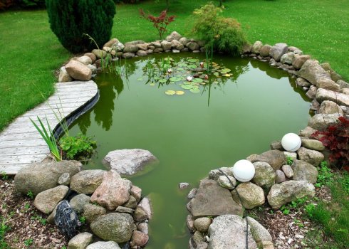 Переваги ставка на ділянці та його недоліки