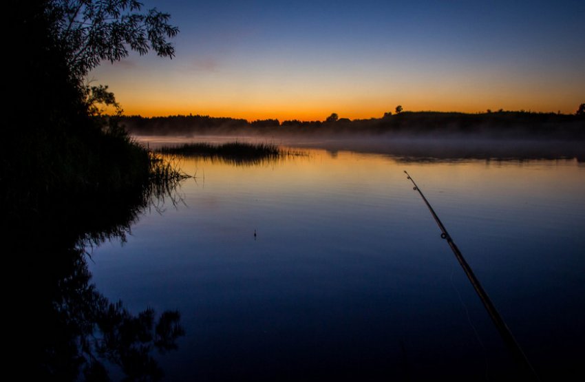 Нічна риболовля Нічна риболовля