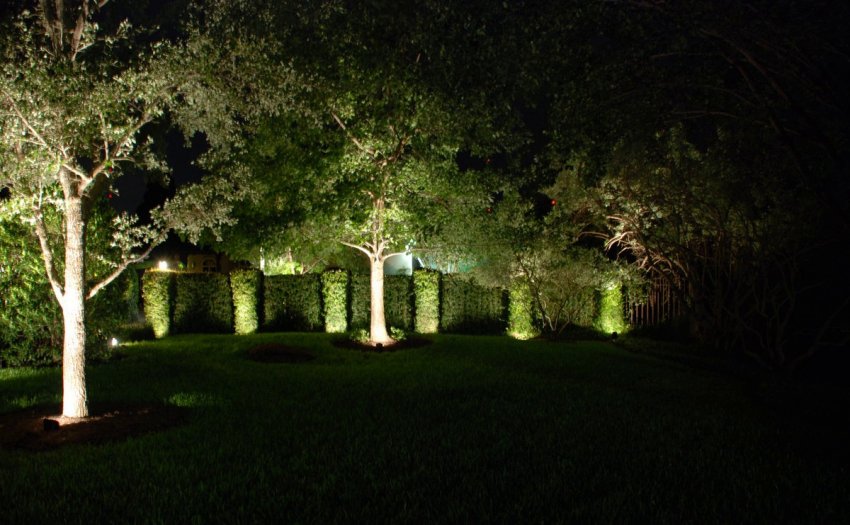 Прожектори в ландшафтному дизайні Прожектори в ландшафтному дизайні