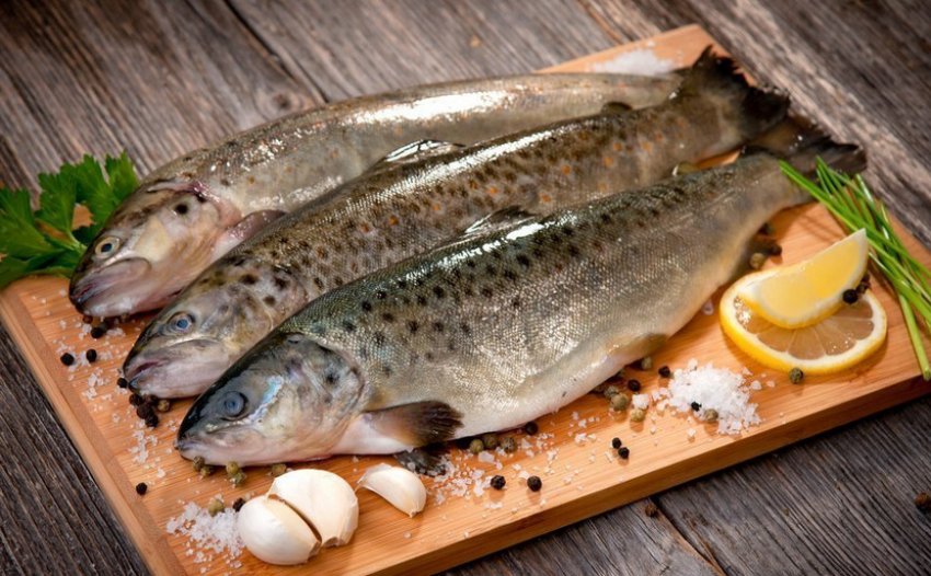 Свіжовиловлена горбуша Свіжовиловлена горбуша