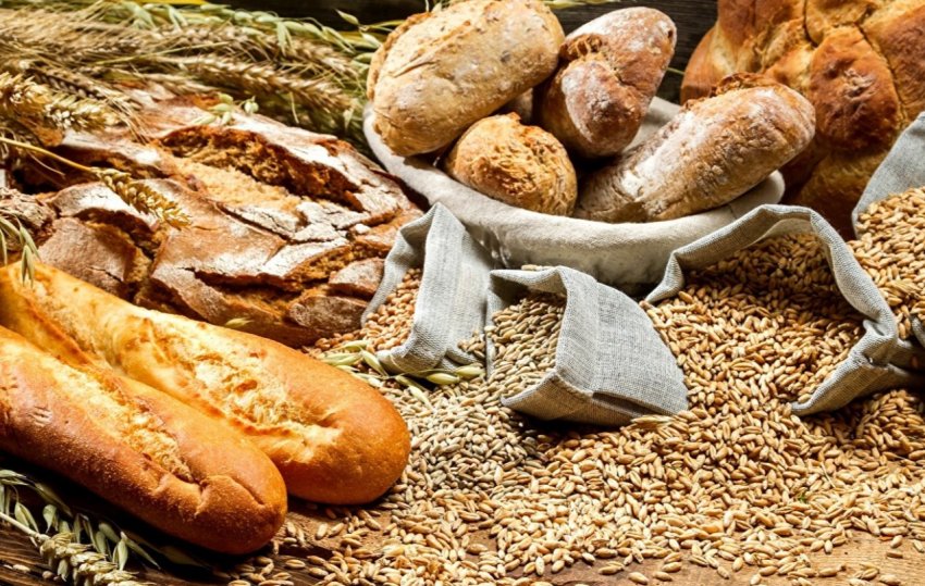 В Рівненській області зафіксовано історичний рекорд врожаю зернових В Рівненській області зафіксовано історичний рекорд врожаю зернових