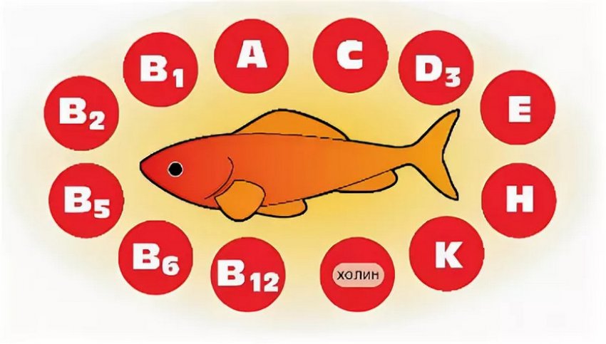 Пищевая ценность рыбы схема