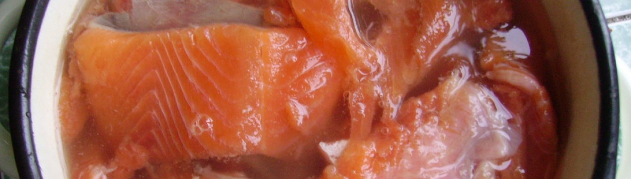 Соління горбуші в розсолі