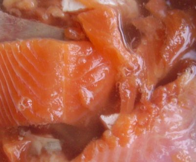 Соління горбуші в розсолі