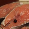 Горбуша малосольная под семгу. Быстро и вкусно солим красную рыбу в домашних условиях