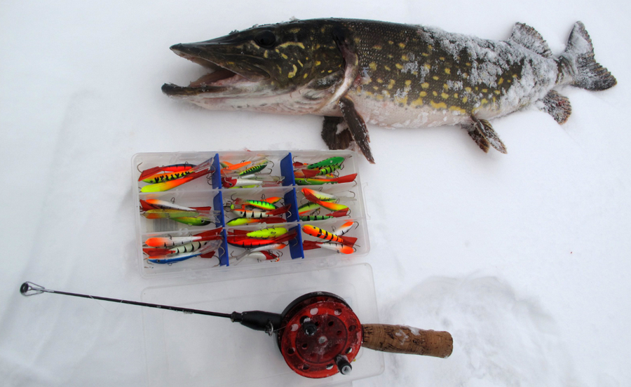 Оснастка зимней удочки: как правильно собрать удочку для рыбалки, с ...