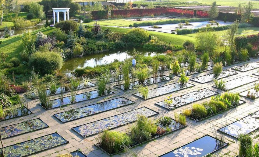 Біологічний ставок