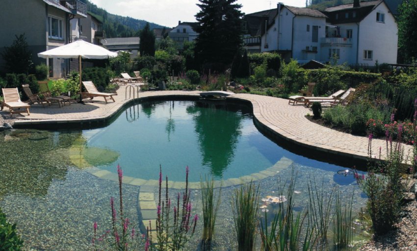 Плавальний ставок