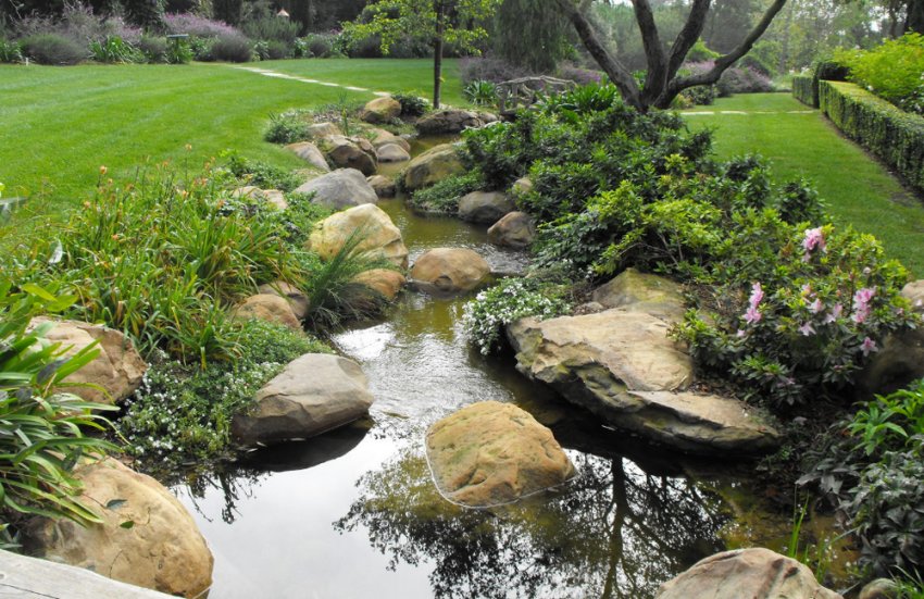 Дикий ставок у саду