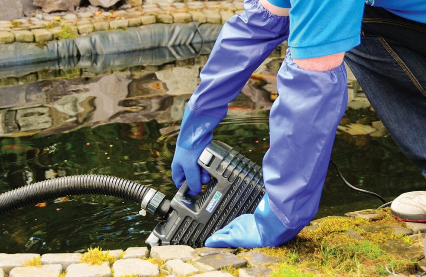 Догляд за ставком