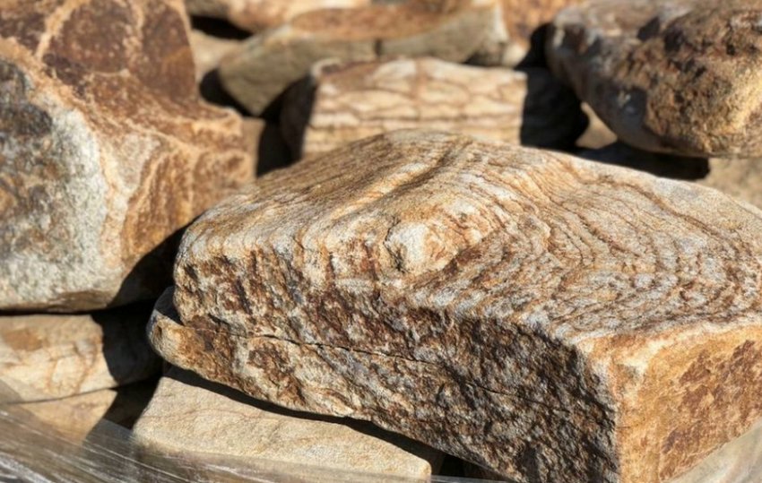 Пісковик Пісковик