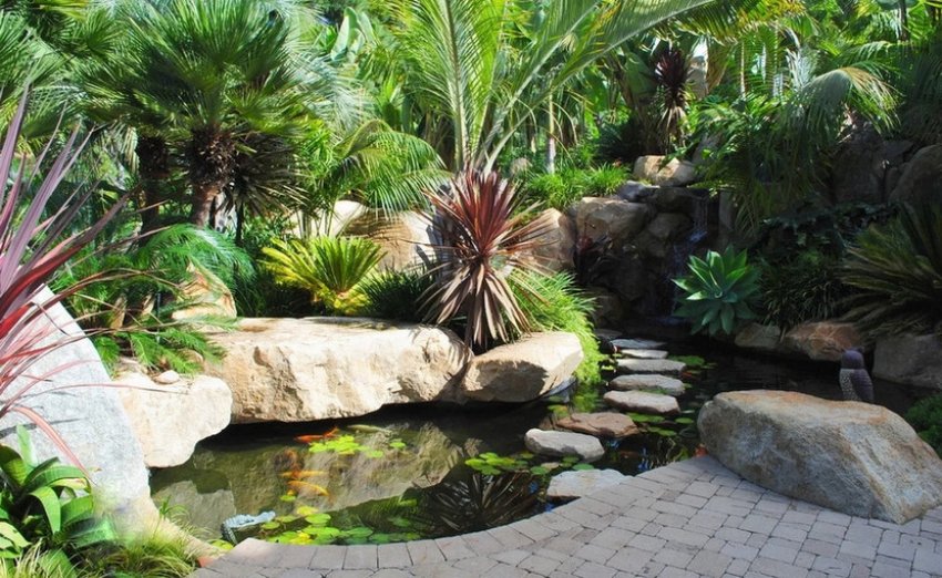 Пальмові культури в ландшафтному дизайні