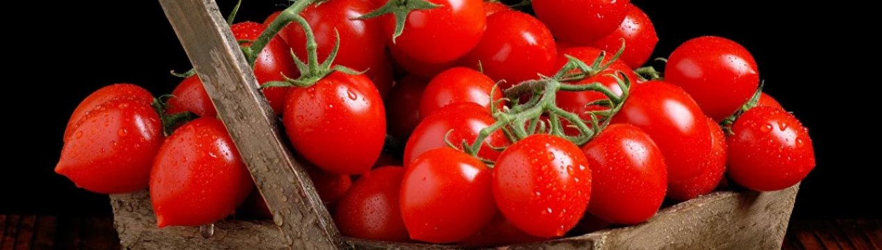 Теплиця на вулкані: в низов'ях Етни ростуть помідори