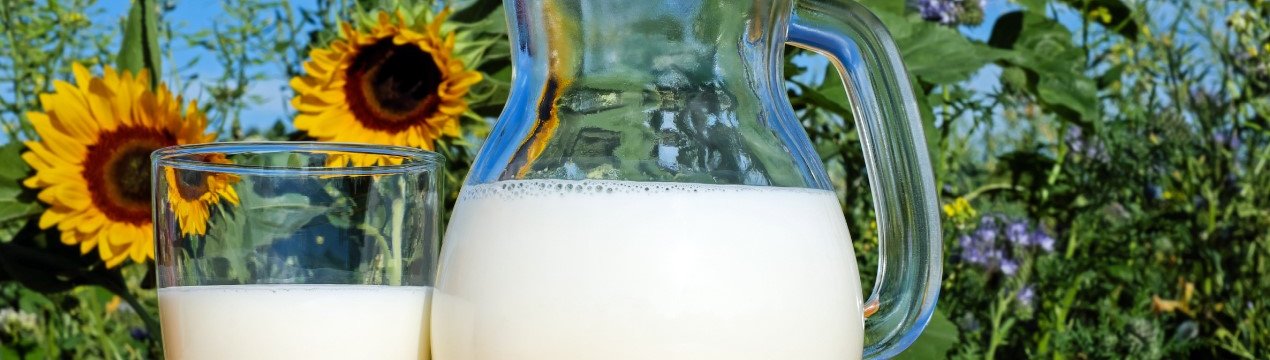 У ЄС кількість корів зменшиться, але збільшиться кількість молока