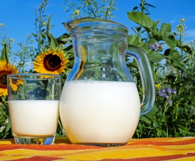 У ЄС кількість корів зменшиться, але збільшиться кількість молока