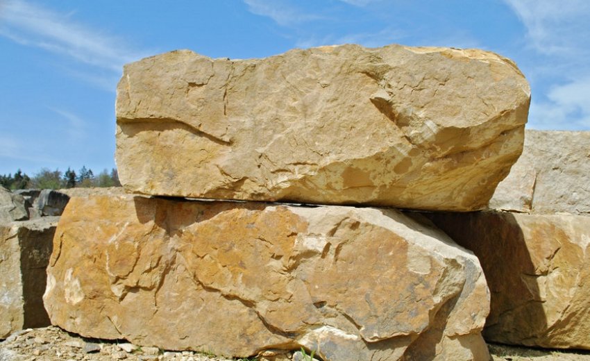 Пісковик Пісковик