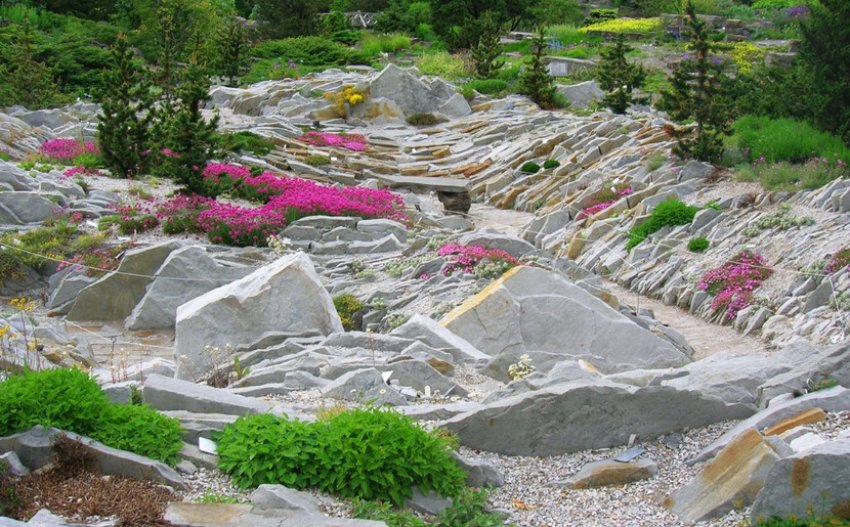 Альпінарій у формі долини Альпінарій у формі долини