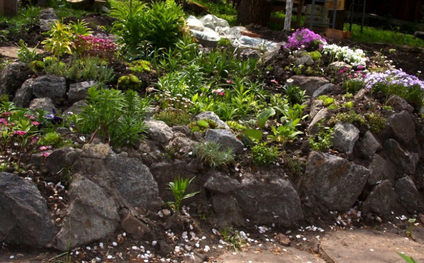 Альпінарій-яр Альпінарій-яр