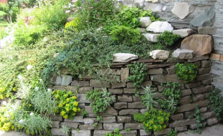 Альпінарій-стіна Альпінарій-стіна