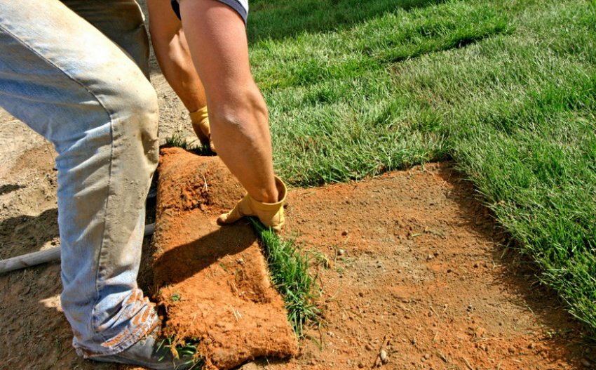 Прибирання дерна Прибирання дерна