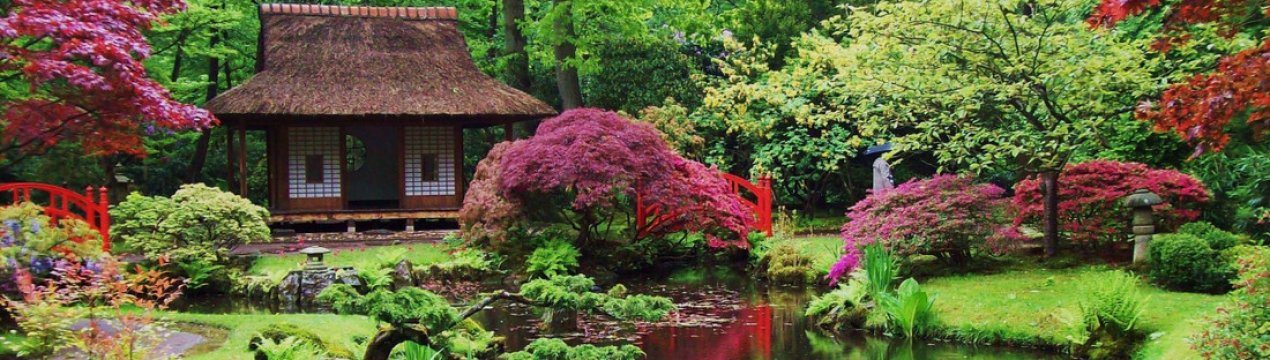 Створення японського стилю у ландшафтному дизайні