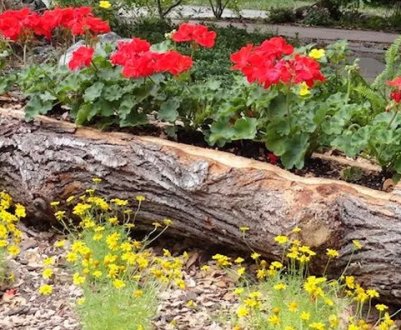 Як використовувати бруси в ландшафтному дизайні