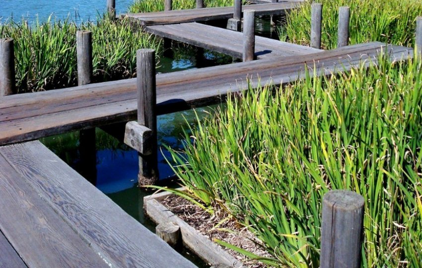 Місток яцухасі Місток яцухасі