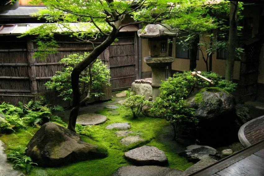 Японський сад Японський сад