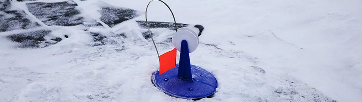 Особливості зимових жерлиць