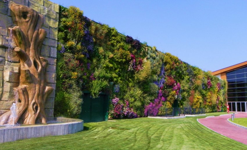 Вертикальне озеленення в ландшафтному дизайні