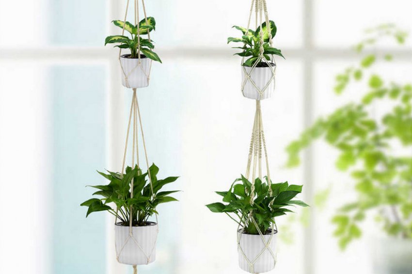Підвісні вазони
