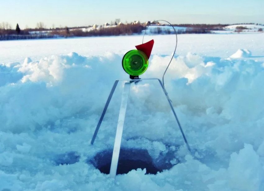 Жерлиця тринога Жерлиця тринога