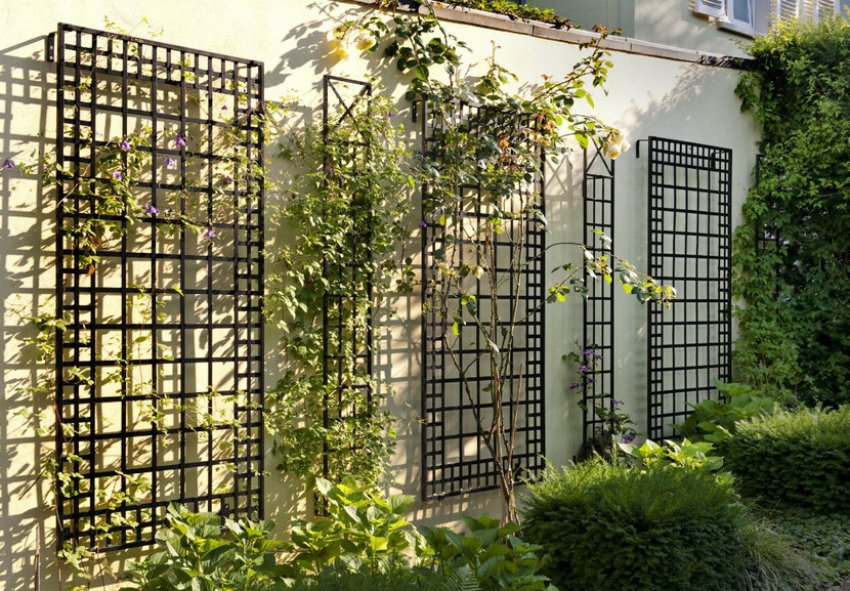 Озеленення на шпалері