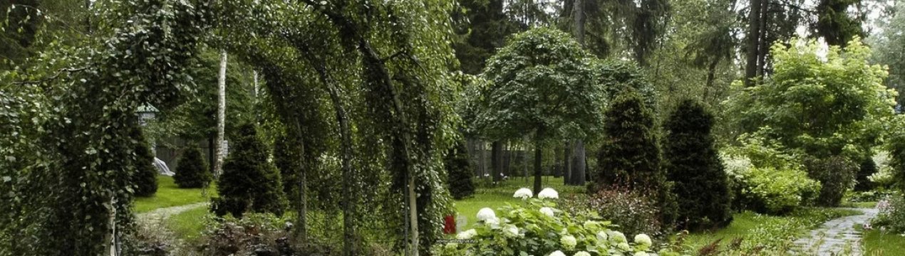 Дизайн ділянки в стилі ландшафтного дизайну