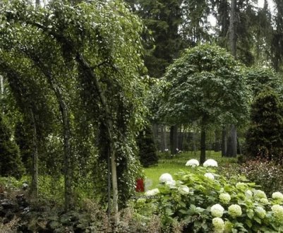 Дизайн ділянки в стилі ландшафтного дизайну