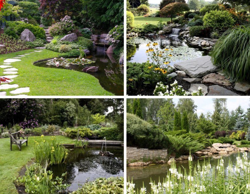 Водойма в пейзажному стилі