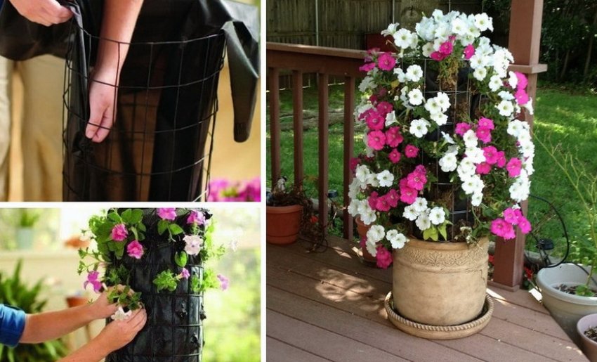 Оформлення квіткової вертикальної клумби