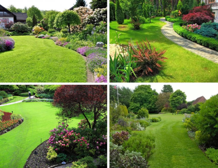 Газон в пейзажному стилі