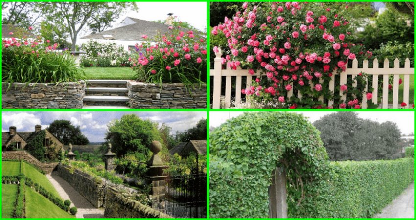 Забор та жива огорожа у пейзажному стилі