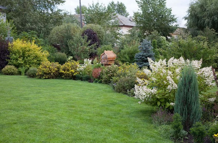 Кущі у пейзажному стилі