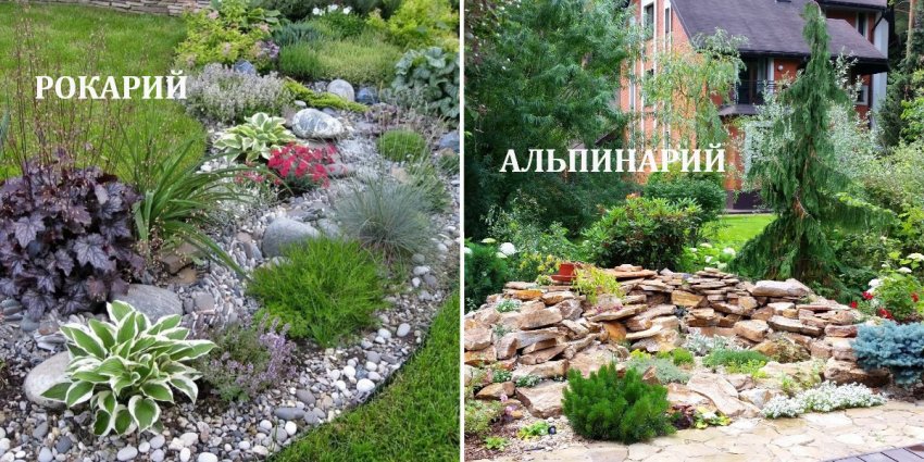 Квітники для ділянки Квітники для ділянки